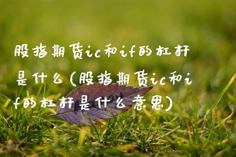 股指期货ic和if的杠杆是什么(股指期货ic和if的杠杆是什么意思)_https://www.zztgc.com_原油期货_第1张