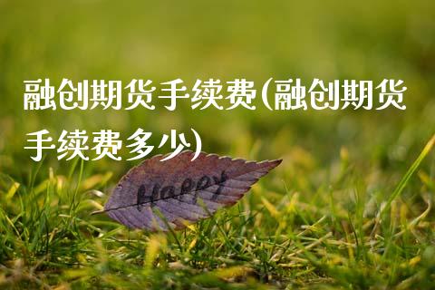 融创期货手续费(融创期货手续费多少)_https://www.zztgc.com_期货直播_第1张