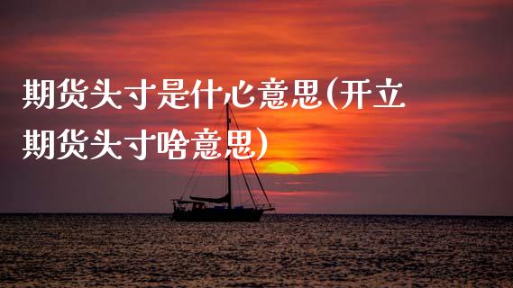 期货头寸是什心意思(开立期货头寸啥意思)_https://www.zztgc.com_期货入门_第1张