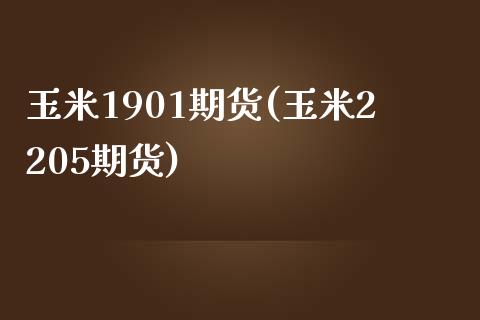 玉米1901期货(玉米2205期货)_https://www.zztgc.com_期货直播_第1张