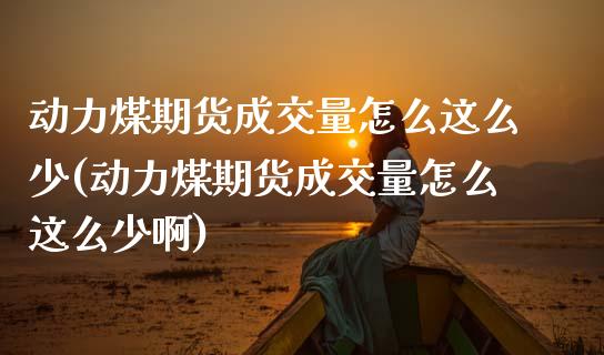 动力煤期货成交量怎么这么少(动力煤期货成交量怎么这么少啊)_https://www.zztgc.com_期货直播_第1张