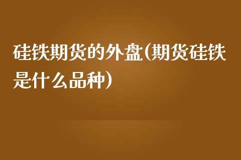 硅铁期货的外盘(期货硅铁是什么品种)_https://www.zztgc.com_期货入门_第1张