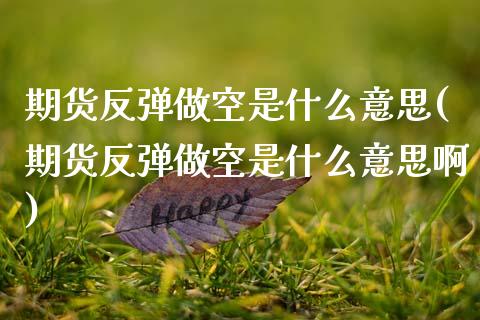 期货反弹做空是什么意思(期货反弹做空是什么意思啊)_https://www.zztgc.com_黄金期货_第1张