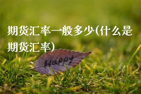 期货汇率一般多少(什么是期货汇率)_https://www.zztgc.com_原油期货_第1张
