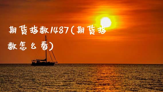 期货指数1487(期货指数怎么看)_https://www.zztgc.com_原油期货_第1张