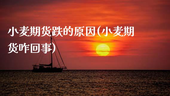 小麦期货跌的原因(小麦期货咋回事)_https://www.zztgc.com_期货行情_第1张