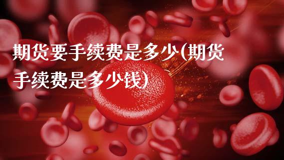 期货要手续费是多少(期货手续费是多少钱)_https://www.zztgc.com_期货开户_第1张