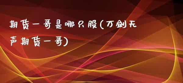 期货一哥是哪只股(万剑无声期货一哥)_https://www.zztgc.com_原油期货_第1张