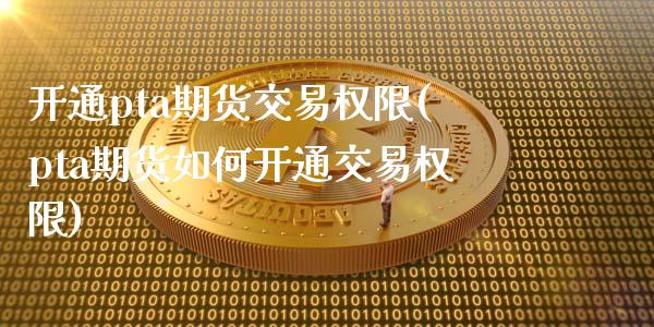 开通pta期货交易权限(pta期货如何开通交易权限)_https://www.zztgc.com_期货直播_第1张
