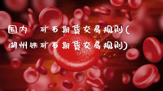 国内鉄矿石期货交易规则(湖州铁矿石期货交易规则)_https://www.zztgc.com_期货直播_第1张