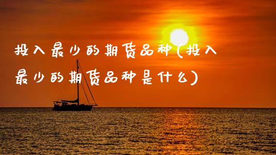 投入最少的期货品种(投入最少的期货品种是什么)_https://www.zztgc.com_期货行情_第1张