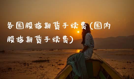 各国股指期货手续费(国内股指期货手续费)_https://www.zztgc.com_期货入门_第1张
