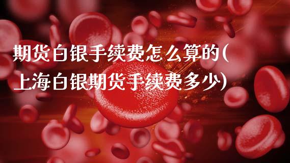 期货白银手续费怎么算的(上海白银期货手续费多少)_https://www.zztgc.com_期货行情_第1张