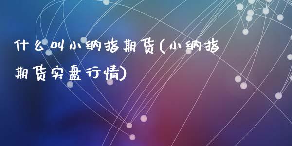 什么叫小纳指期货(小纳指期货实盘行情)_https://www.zztgc.com_期货直播_第1张