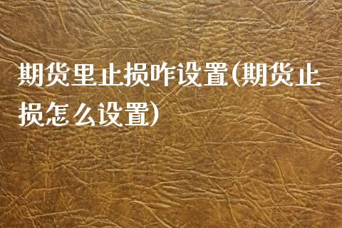 期货里止损咋设置(期货止损怎么设置)_https://www.zztgc.com_黄金期货_第1张