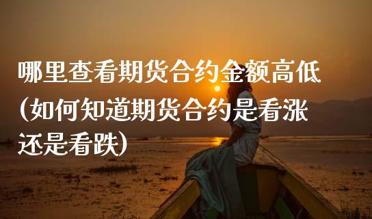 哪里查看期货合约金额高低(如何知道期货合约是看涨还是看跌)_https://www.zztgc.com_期货入门_第1张