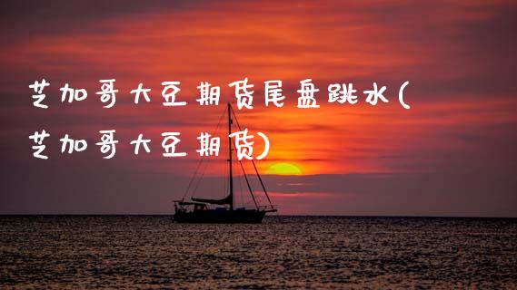 芝加哥大豆期货尾盘跳水(芝加哥大豆期货)_https://www.zztgc.com_原油期货_第1张