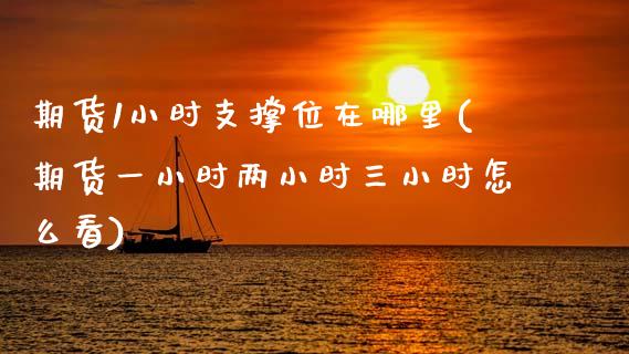期货1小时支撑位在哪里(期货一小时两小时三小时怎么看)_https://www.zztgc.com_黄金期货_第1张