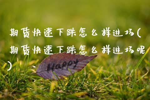 期货快速下跌怎么样进场(期货快速下跌怎么样进场呢)_https://www.zztgc.com_原油期货_第1张