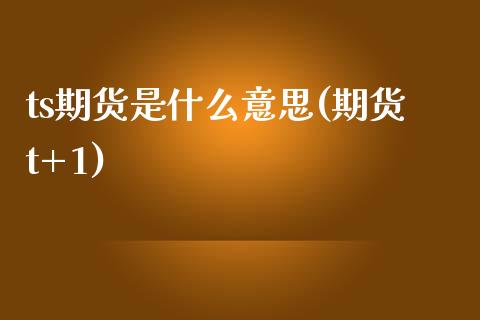 ts期货是什么意思(期货t+1)_https://www.zztgc.com_期货直播_第1张