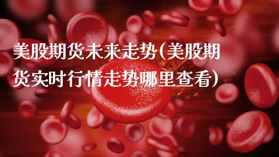 美股期货未来走势(美股期货实时行情走势哪里查看)_https://www.zztgc.com_黄金期货_第1张
