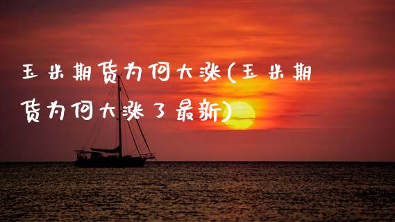 玉米期货为何大涨(玉米期货为何大涨了最新)_https://www.zztgc.com_期货开户_第1张