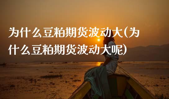 为什么豆粕期货波动大(为什么豆粕期货波动大呢)_https://www.zztgc.com_期货入门_第1张