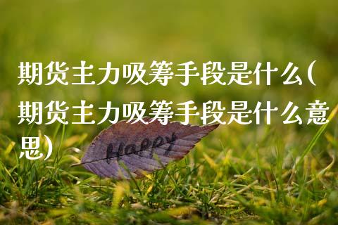 期货主力吸筹手段是什么(期货主力吸筹手段是什么意思)_https://www.zztgc.com_期货直播_第1张
