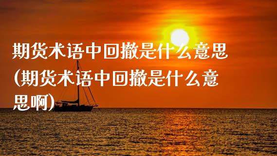 期货术语中回撤是什么意思(期货术语中回撤是什么意思啊)_https://www.zztgc.com_期货直播_第1张