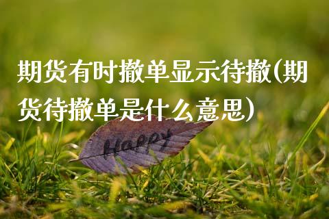 期货有时撤单显示待撤(期货待撤单是什么意思)_https://www.zztgc.com_期货开户_第1张