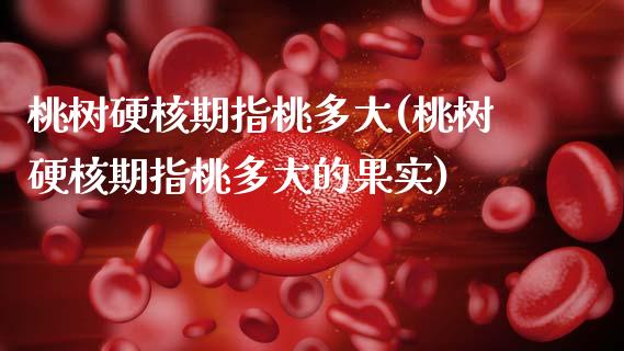 桃树硬核期指桃多大(桃树硬核期指桃多大的果实)_https://www.zztgc.com_期货直播_第1张