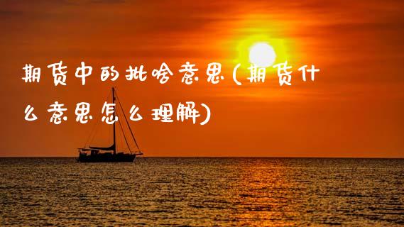期货中的批啥意思(期货什么意思怎么理解)_https://www.zztgc.com_期货行情_第1张