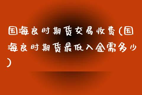 国海良时期货交易收费(国海良时期货最低入金需多少)_https://www.zztgc.com_期货入门_第1张