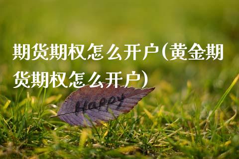 期货期权怎么开户(黄金期货期权怎么开户)_https://www.zztgc.com_期货行情_第1张