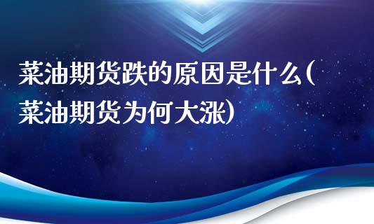 菜油期货跌的原因是什么(菜油期货为何大涨)_https://www.zztgc.com_原油期货_第1张