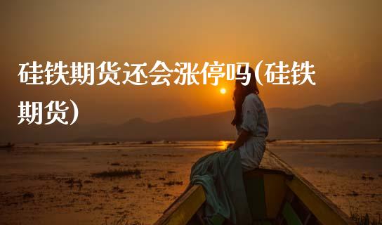 硅铁期货还会涨停吗(硅铁期货)_https://www.zztgc.com_期货入门_第1张