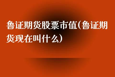鲁证期货股票市值(鲁证期货现在叫什么)_https://www.zztgc.com_原油期货_第1张