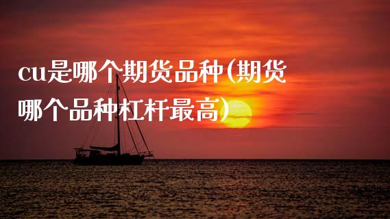 cu是哪个期货品种(期货哪个品种杠杆最高)_https://www.zztgc.com_期货直播_第1张