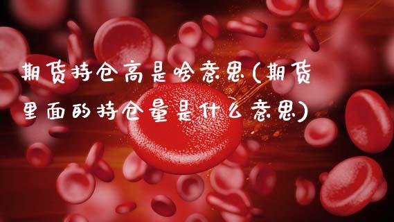 期货持仓高是啥意思(期货里面的持仓量是什么意思)_https://www.zztgc.com_黄金期货_第1张