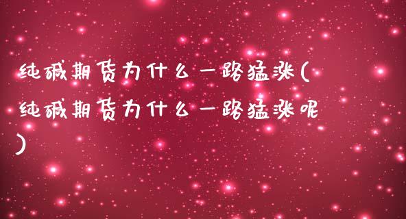 纯碱期货为什么一路猛涨(纯碱期货为什么一路猛涨呢)_https://www.zztgc.com_黄金期货_第1张