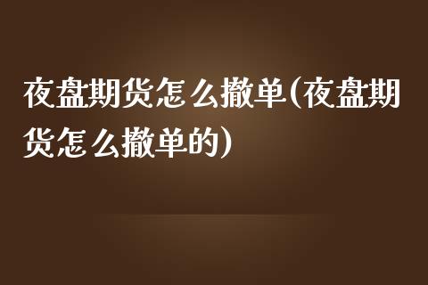 夜盘期货怎么撤单(夜盘期货怎么撤单的)_https://www.zztgc.com_期货直播_第1张