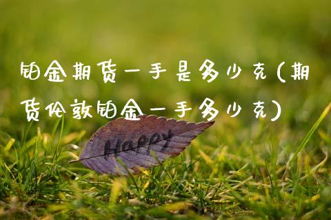 铂金期货一手是多少克(期货伦敦铂金一手多少克)_https://www.zztgc.com_原油期货_第1张