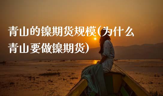 青山的镍期货规模(为什么青山要做镍期货)_https://www.zztgc.com_期货直播_第1张