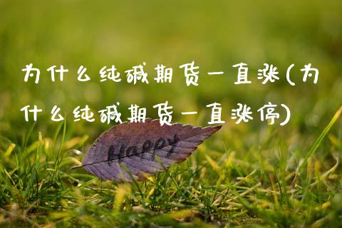 为什么纯碱期货一直涨(为什么纯碱期货一直涨停)_https://www.zztgc.com_原油期货_第1张