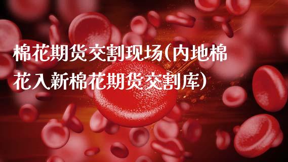棉花期货交割现场(内地棉花入新棉花期货交割库)_https://www.zztgc.com_期货行情_第1张