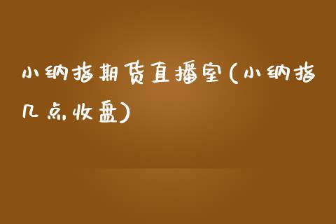 小纳指期货直播室(小纳指几点收盘)_https://www.zztgc.com_期货入门_第1张