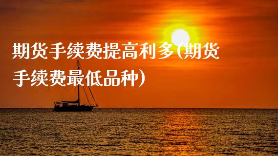 期货手续费提高利多(期货手续费最低品种)_https://www.zztgc.com_期货入门_第1张