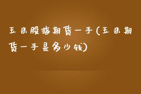 玉米股指期货一手(玉米期货一手是多少钱)_https://www.zztgc.com_期货入门_第1张