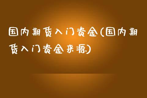 国内期货入门资金(国内期货入门资金来源)_https://www.zztgc.com_期货入门_第1张