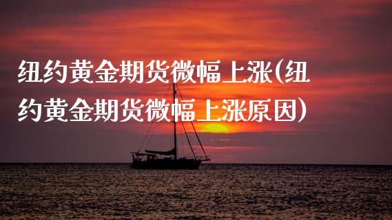 纽约黄金期货微幅上涨(纽约黄金期货微幅上涨原因)_https://www.zztgc.com_期货入门_第1张